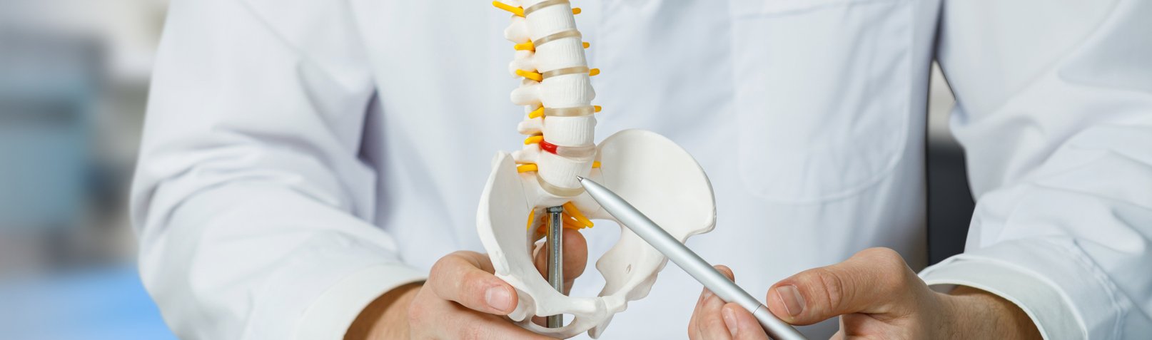 Traumatología de Columna 